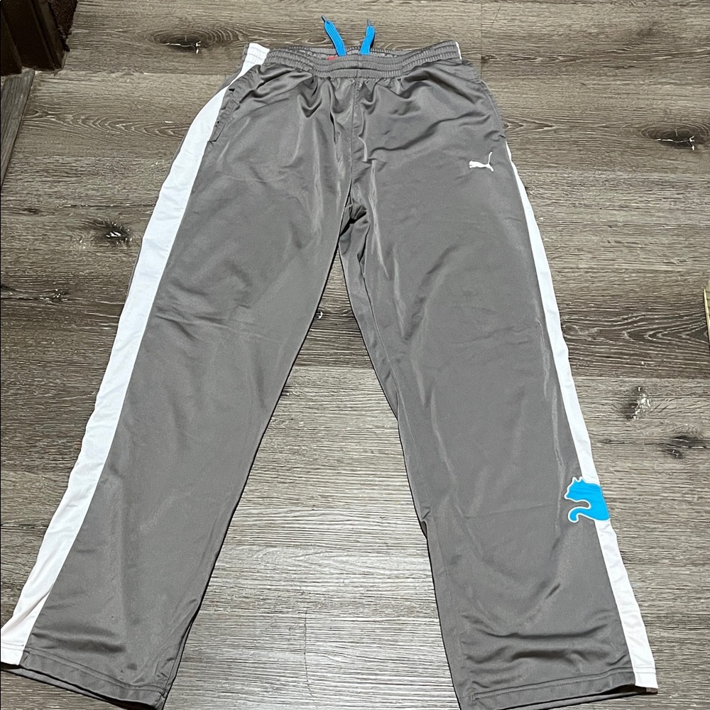 Stylish Gray Track Pants with White and Blue Stripes